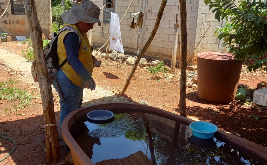 La SSY realiza acciones de prevención contra el dengue en Yucatán