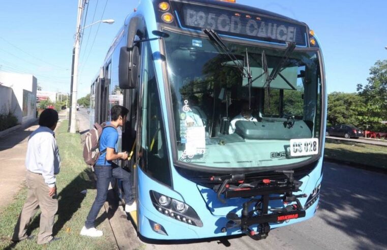 Inician operaciones nuevas rutas del Va y ven en Ciudad Caucel