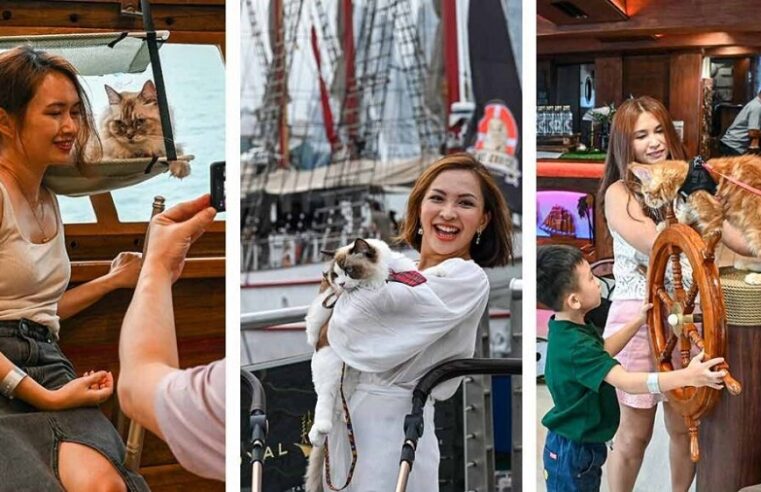 Singapur abre viajes en un lujoso crucero para gatos