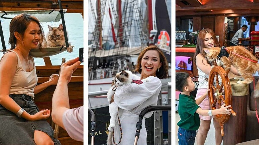 Singapur abre viajes en un lujoso crucero para gatos