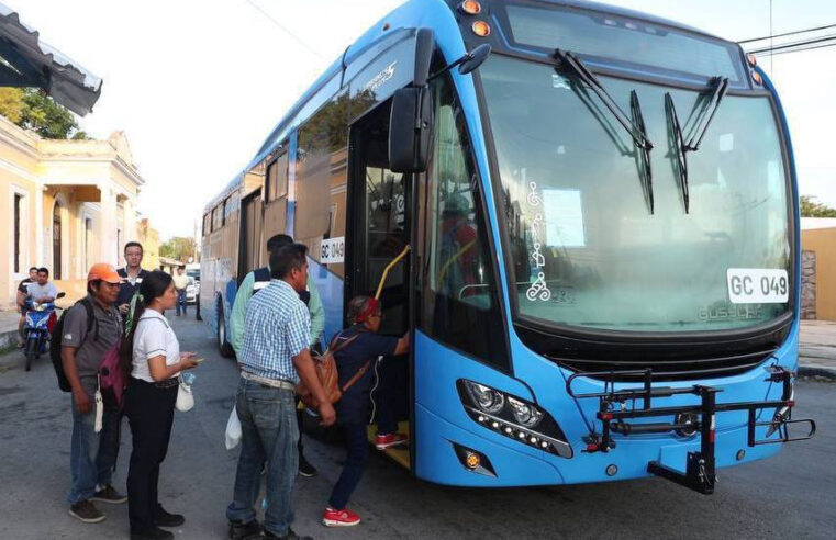 A partir del 26 de agosto,  funcionarán  3 nuevas rutas del «Va y ven» en Ciudad Caucel