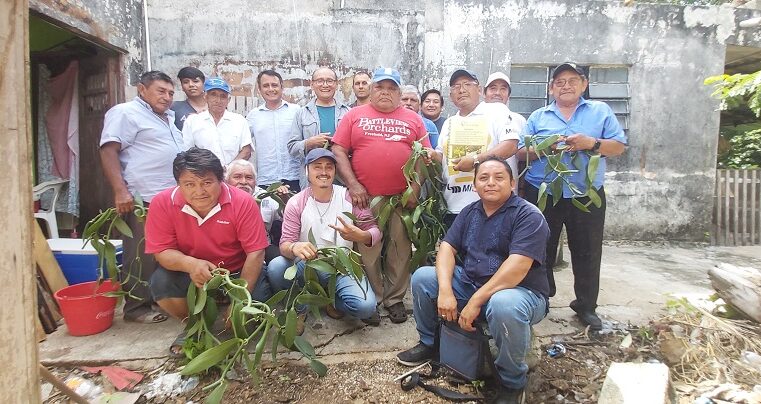 La Conafor promueve el prometedor cultivo de vainilla en un ejido de Maxcanú