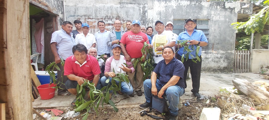 La Conafor promueve el prometedor cultivo de vainilla en un ejido de Maxcanú