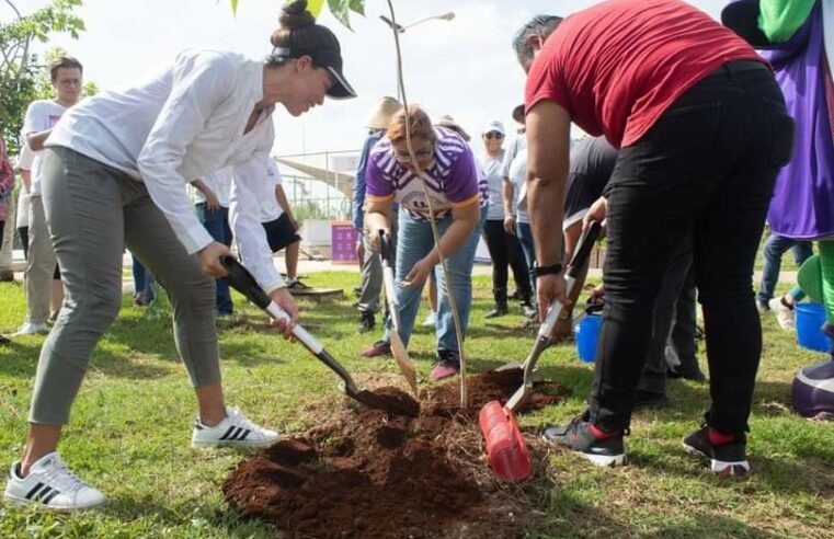 Alumnos de primarias estatales  reforestan Yucatán con “Un niño, un árbol”