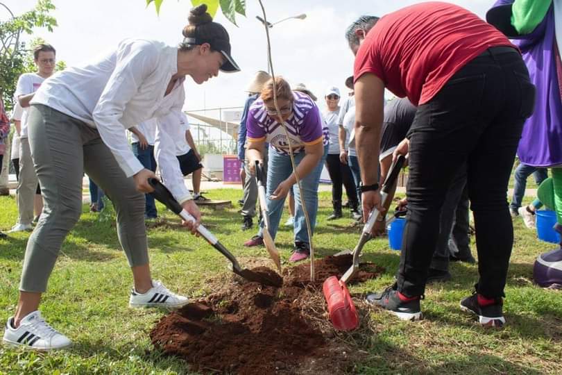 Alumnos de primarias estatales  reforestan Yucatán con “Un niño, un árbol”