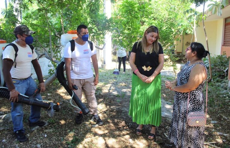 Cecilia Patrón hace equipo por Mérida para prevenir el dengue