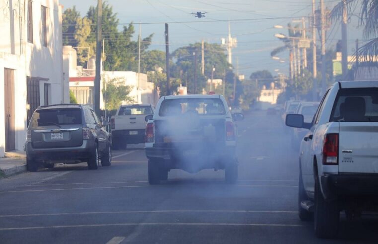 Gobierno de Yucatán intensifica la fumigación contra mosco transmisor del dengue