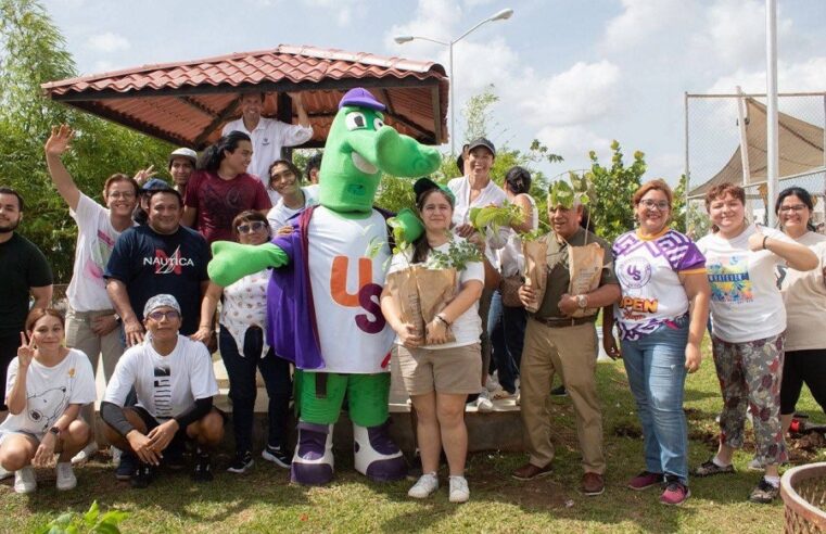 Con ‘Arborizando Yucatán’ plantan más de 900 mil árboles en 97 municipios