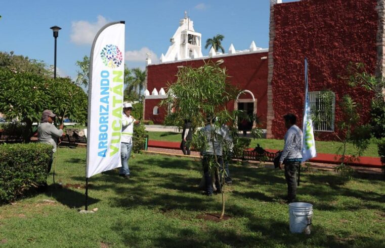 Con Arborizando Yucatán, reforestan el parque Itzimná en Mérida