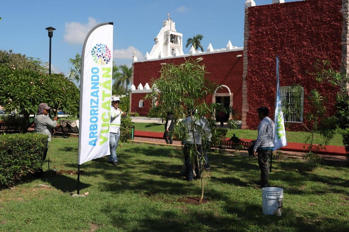 Con Arborizando Yucatán, reforestan el parque Itzimná en Mérida