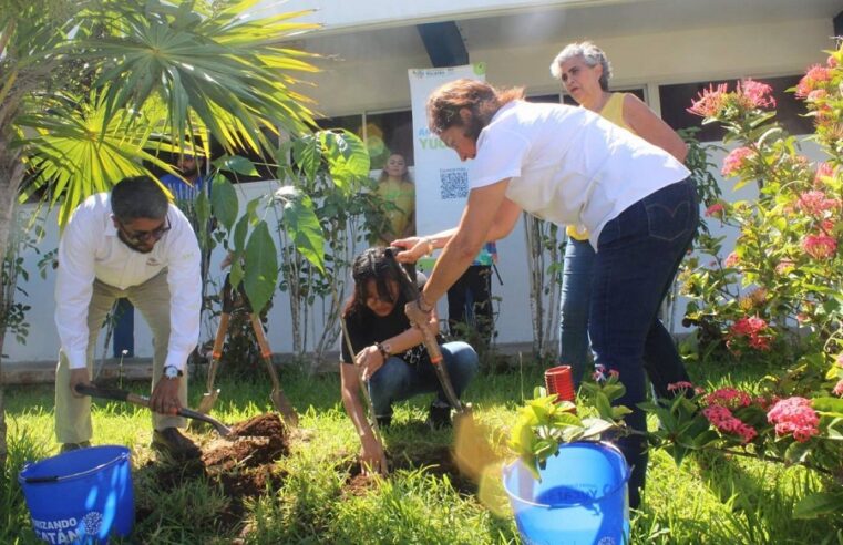 En equipo, estudiantes y gobierno logran un Yucatán más verde con Arborizando tu Universidad