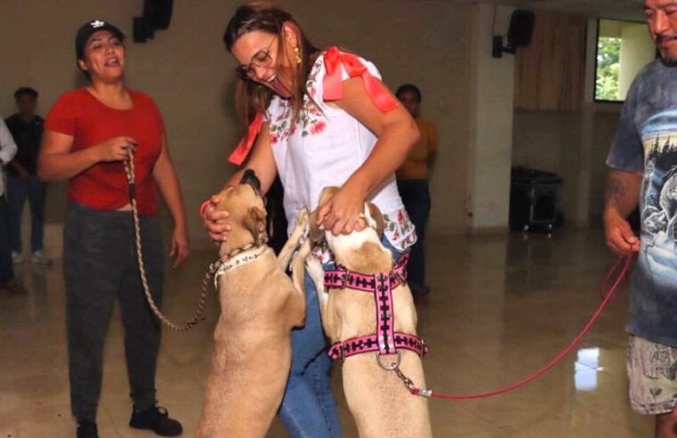 Cecilia Patrón une a los meridanos en un solo equipo por el bienestar animal