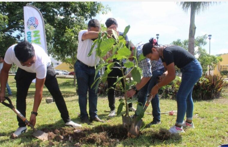 Más estudiantes se unen al llamado de “Arborizando tu Universidad”