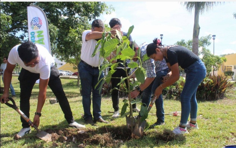 Más estudiantes se unen al llamado de “Arborizando tu Universidad”