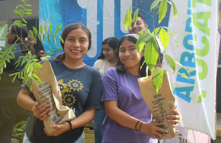 Estudiantes del Instituto Tecnológico Superior de Motul se suman a la arborización de Yucatán