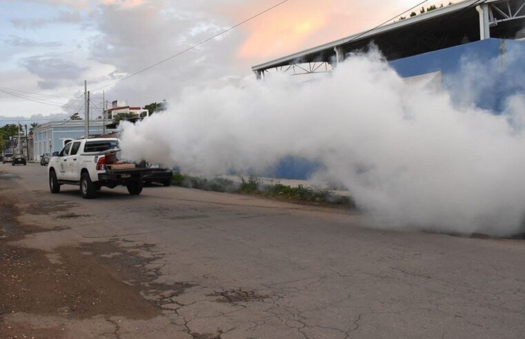 La SSY realizará una fumigación intensiva para combatir el dengue en Yucatán