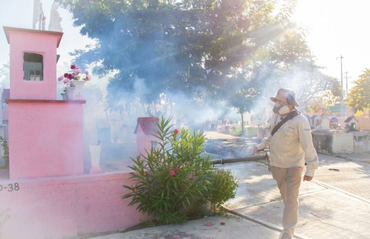 Los días 1 y 3 de noviembre realizarán un operativo de fumigación en Mérida 