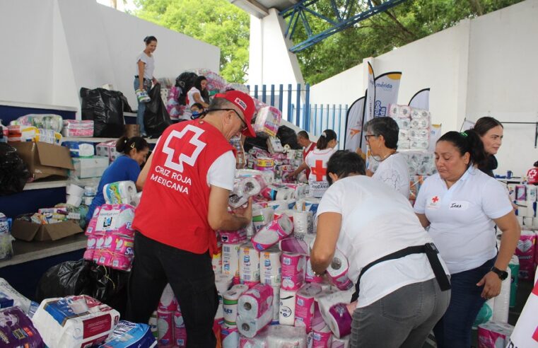 Envían más de once toneladas de ayuda humanitaria a Guerrero