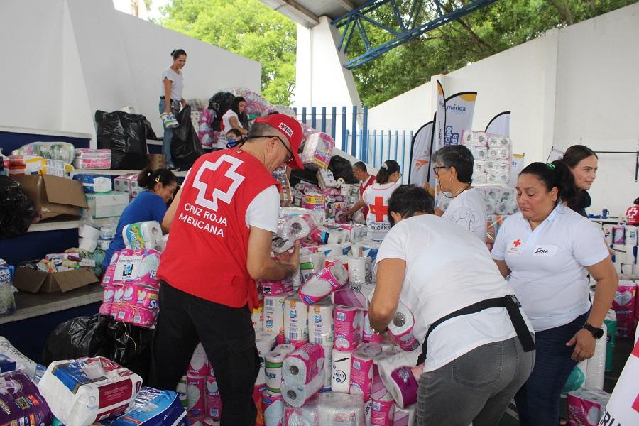 Envían más de once toneladas de ayuda humanitaria a Guerrero
