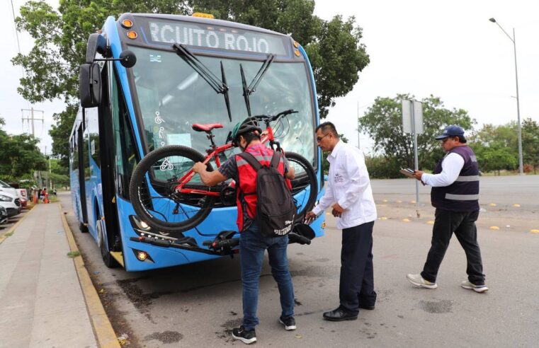 La ruta Circuito Rojo se incorpora al sistema “Va y Ven”: gratis el 4 al 12 de noviembre