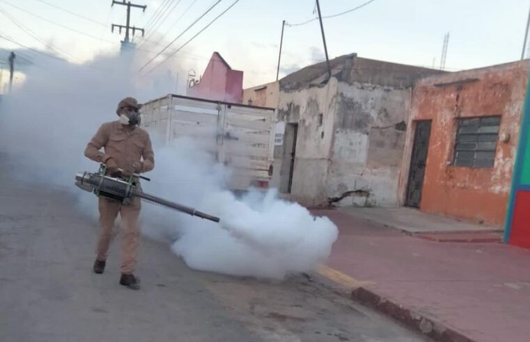 Conoce las colonias de Mérida y los municipios donde habrá fumigación esta semana