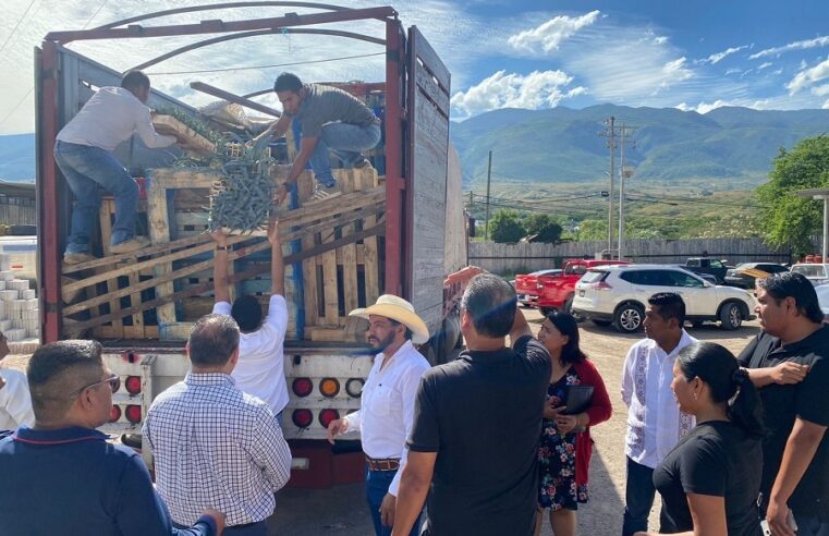 El CICY Yucatán envía agaves mezcaleros a productores de Guerrero afectados por Otis