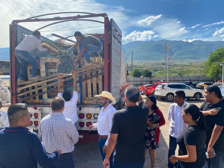 El CICY Yucatán envía agaves mezcaleros a productores de Guerrero afectados por Otis