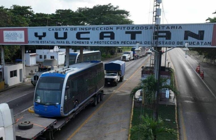Llegan otros cinco nuevos vehículos del Ie-Tram a Yucatán: ya suman 11