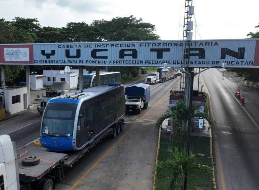 Llegan otros cinco nuevos vehículos del Ie-Tram a Yucatán: ya suman 11