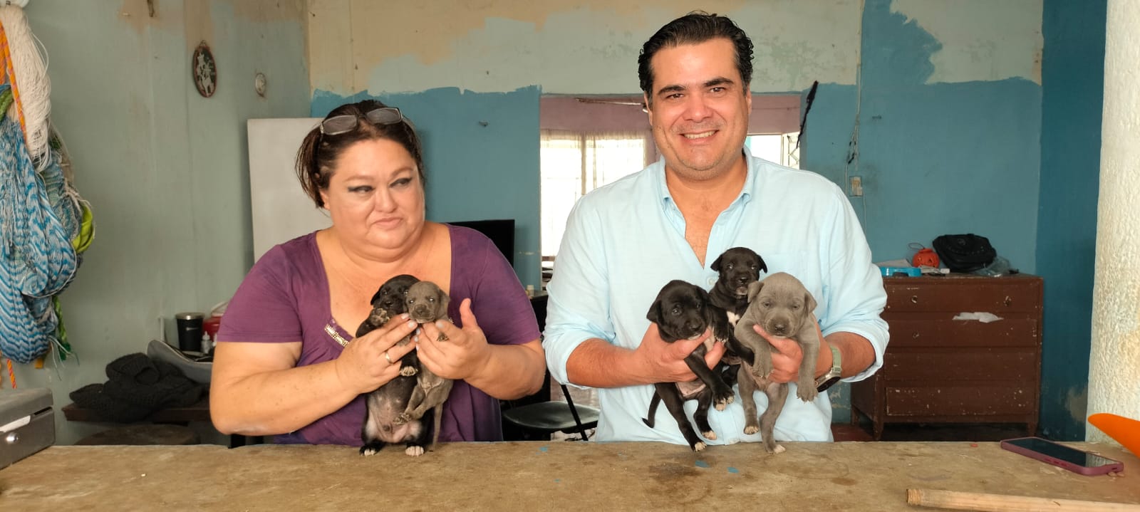 Cultur rescata a otros seis perritos en Chichén Itzá y los pone en adopción