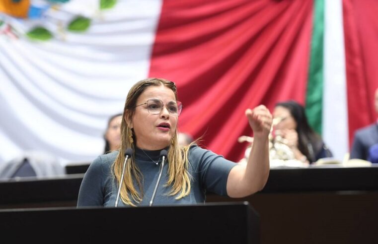 Continuaré legislando a favor de Mérida y de Yucatán: Cecilia Patrón Laviada