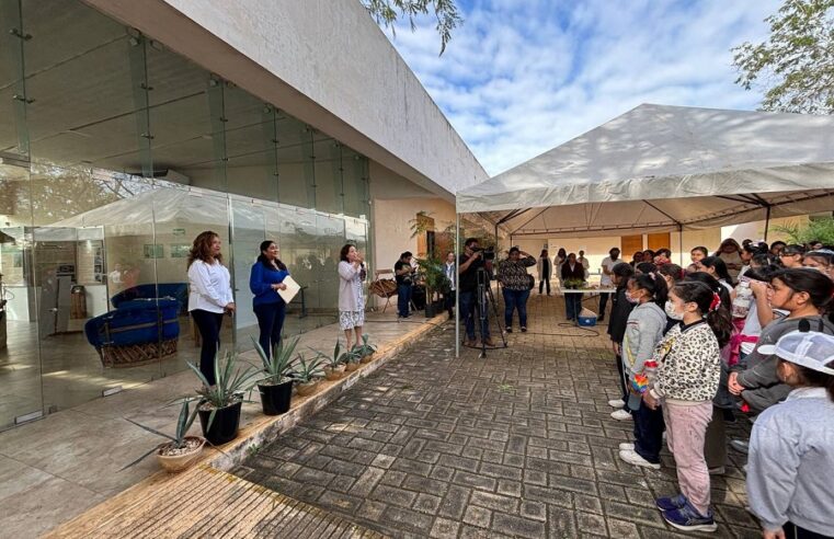 El CICY muestra a niñas de primaria la importancia de la ciencia