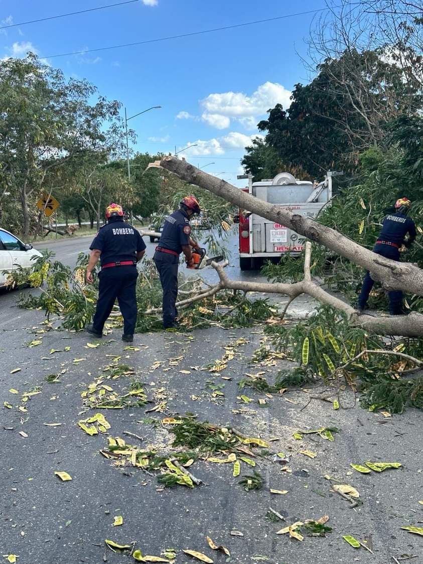 La SSP atiende emergencias por fuertes vientos