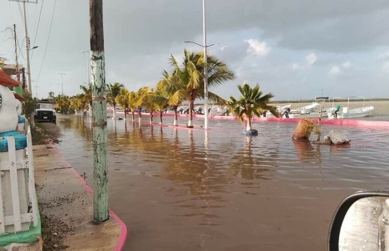 Protección civil reportó afectaciones menores por el frente frío No. 32 en Yucatán