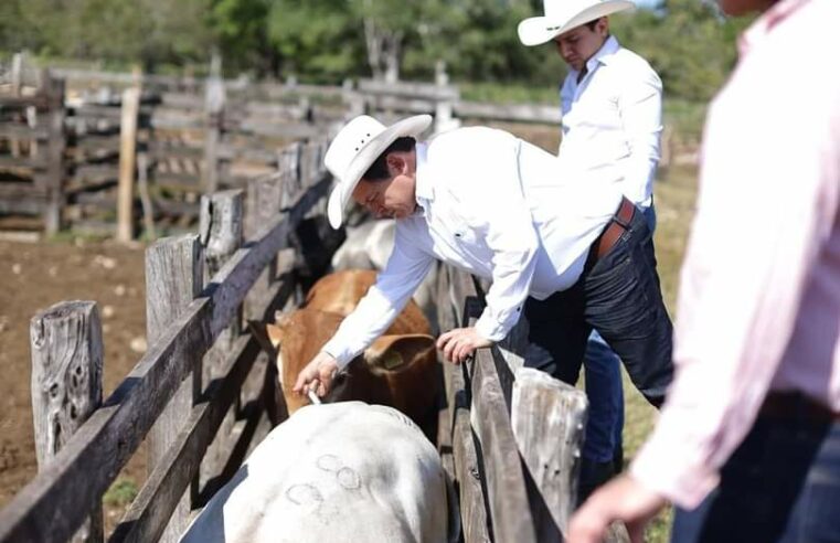 Huacho» Díaz sufre factura en su rancho 