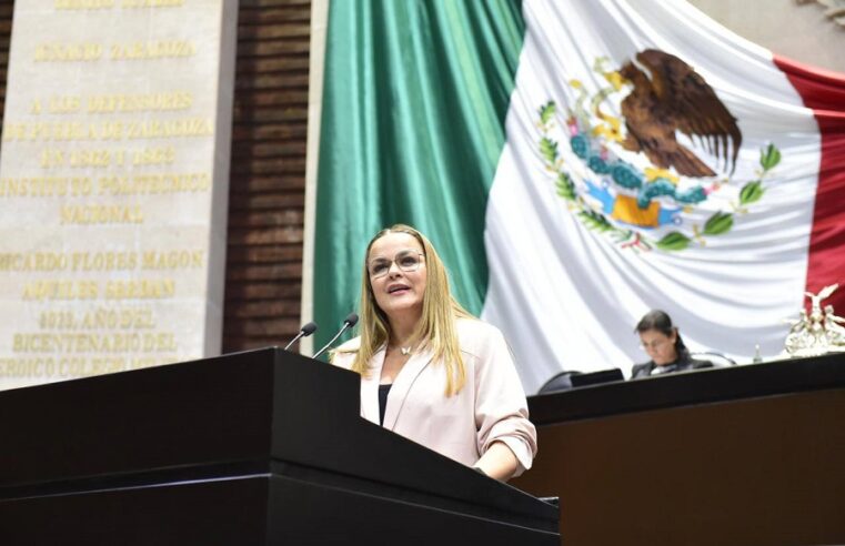 Más inclusión con justicia social para nuestras infancias: Cecilia Patrón