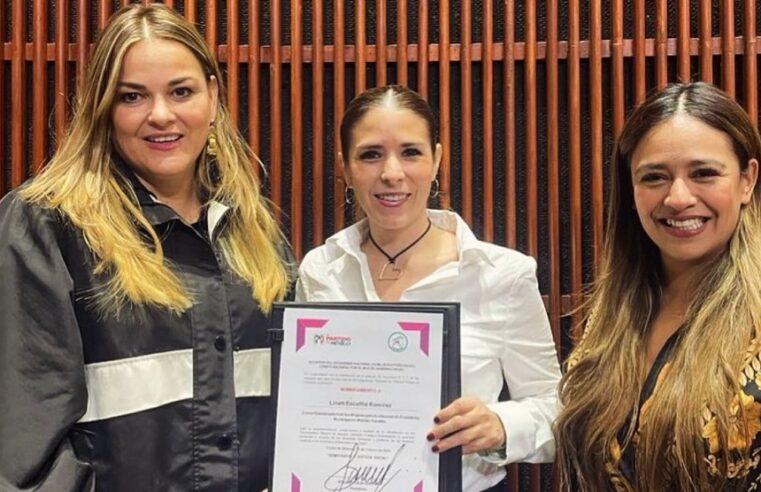 Linett Escoffié encabezará la coordinación de una alianza de mujeres en Mérida