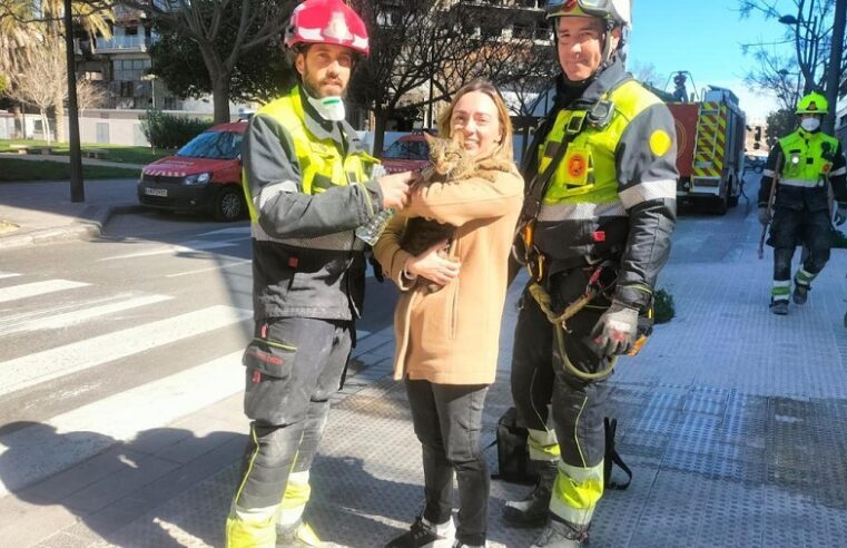 Bomberos rescatan un gato de un edificio en ruinas ocho días después de un incendio