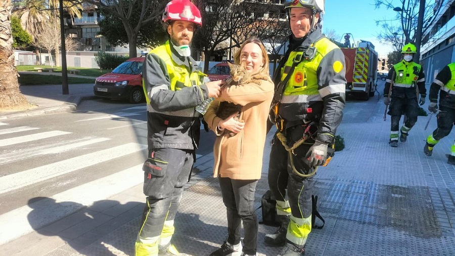 Bomberos rescatan un gato de un edificio en ruinas ocho días después de un incendio