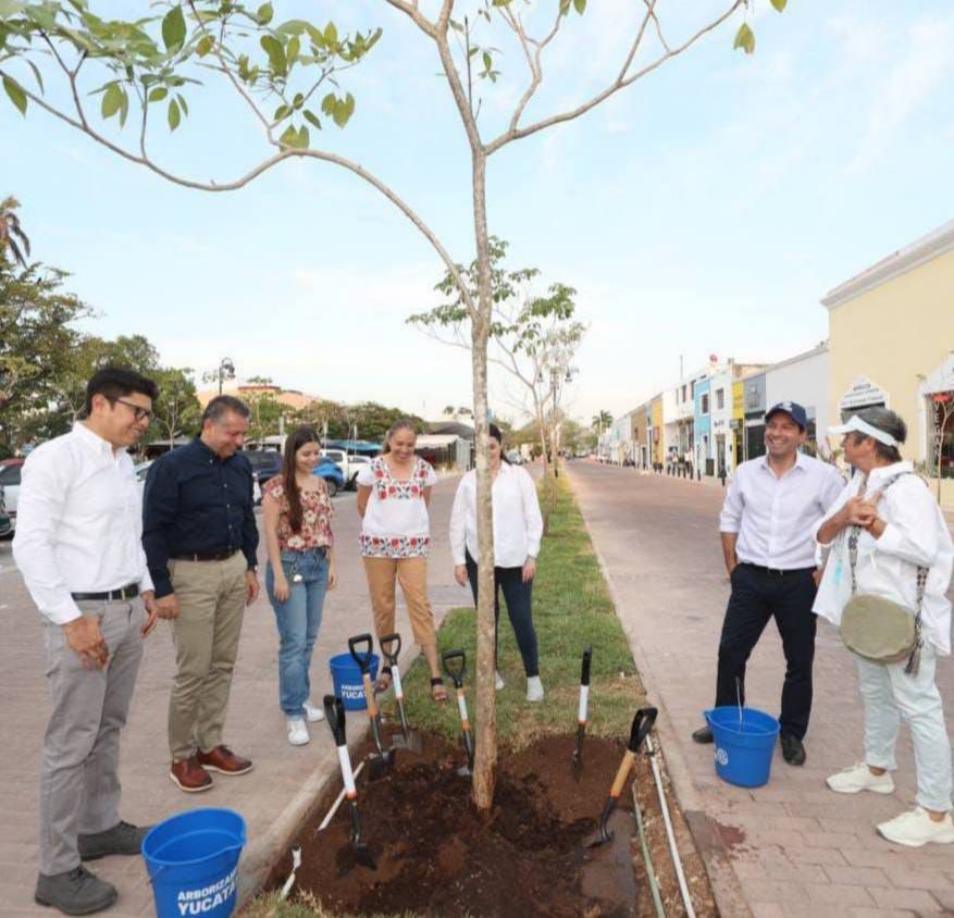 Gobierno de Yucatán llega al millón de árboles plantados