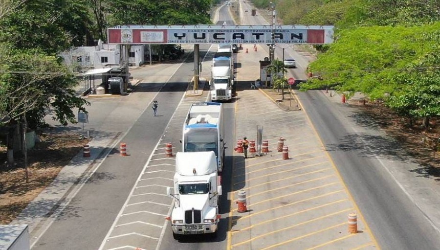 Llegan seis autobuses más del Ie-Tram para  Umán y la estación del Tren Maya