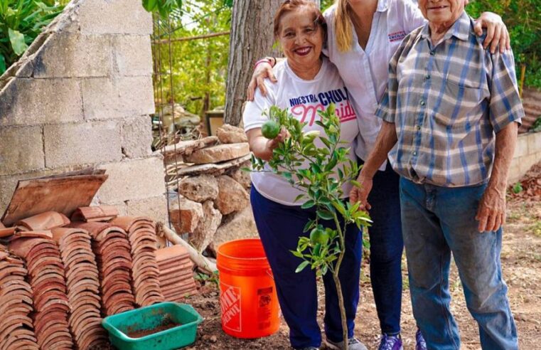 Vamos por la arborización más grande en Mérida: Cecilia Patrón