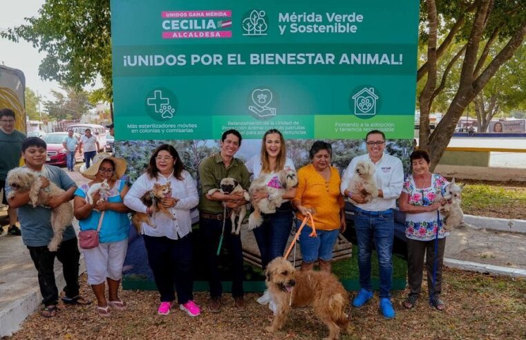 Bienestar Animal de la mano de todos los meridanos: Cecilia Patrón