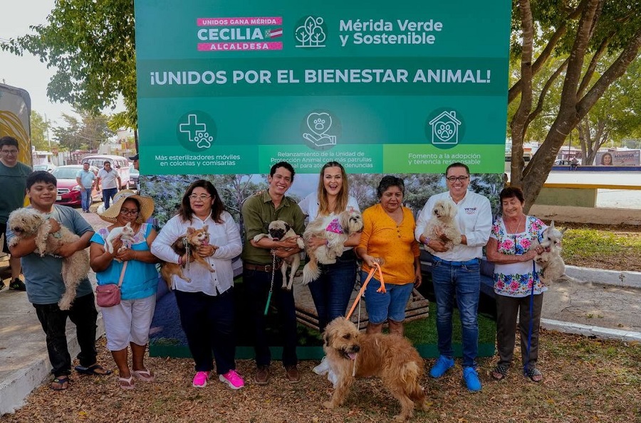 Bienestar Animal de la mano de todos los meridanos: Cecilia Patrón