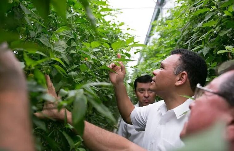 Rolando Zapata se compromete a impulsar la reforestación en Yucatán