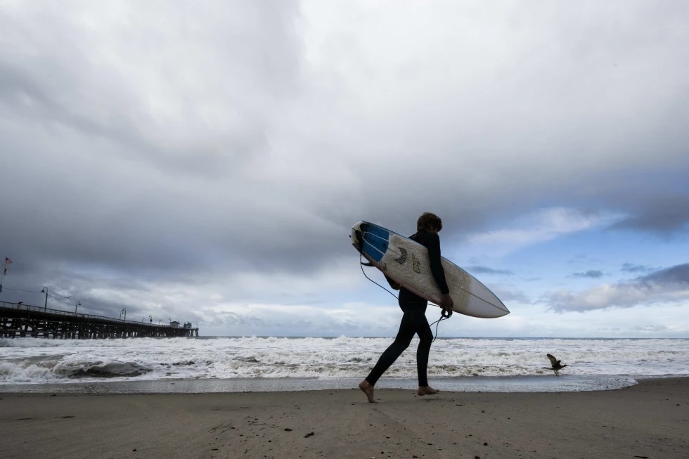 Cierran popular playa de California después de que un tiburón derribó a un surfista de su tabla