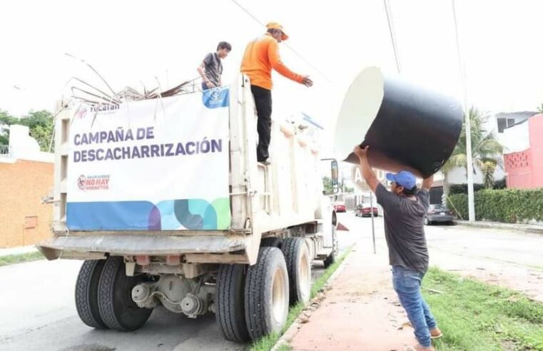 Casi 350 toneladas recolectadas en la campaña de descacharrización en Mérida