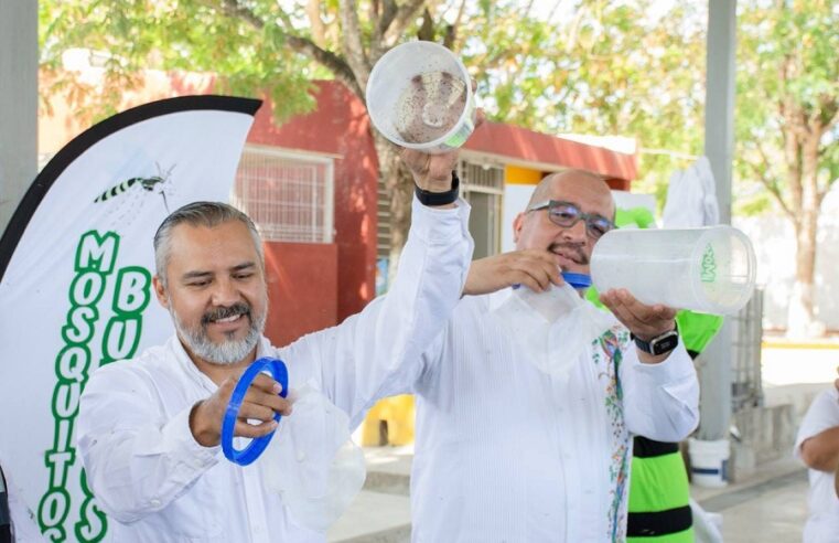 Liberan «mosquitos buenos» para combatir dengue, zika y chikungunya