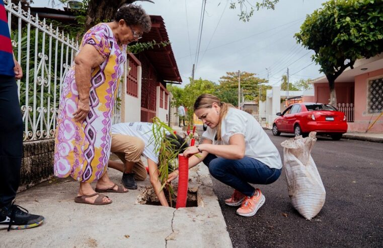 Cecilia Patrón reitera su compromiso por una Mérida más verde: apoya la Cruzada Forestal