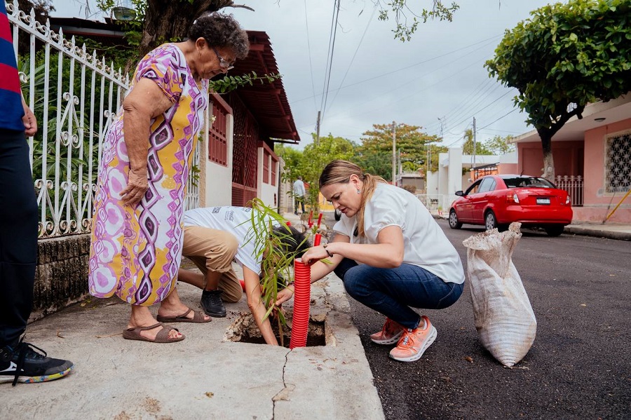 Cecilia Patrón reitera su compromiso por una Mérida más verde: apoya la Cruzada Forestal